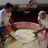 チーズ工場見学の伝統誇るバルサミコイメージ