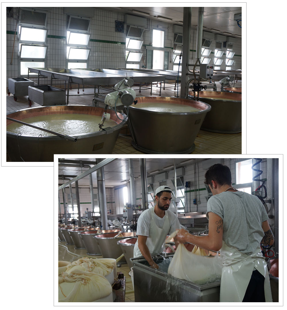 パルマ＆ボローニャ　美食のイタリア旅行　パルマ生ハム工場とパルメジャーノ・レッジャーノチーズ工場見学