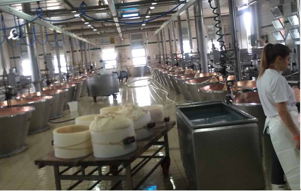 パルマ＆ボローニャ　美食のイタリア旅行　パルマ生ハム工場とパルメジャーノ・レッジャーノチーズ工場見学