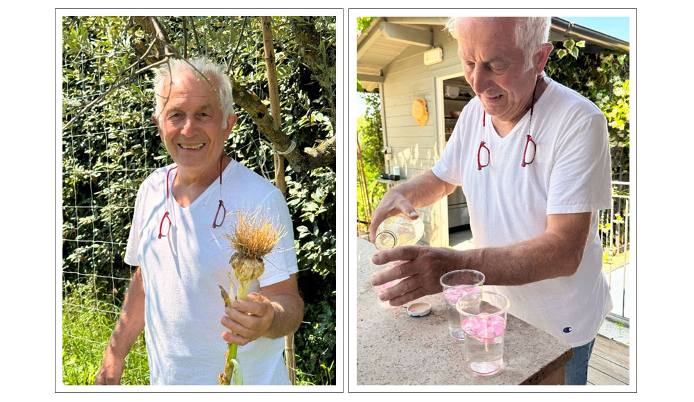 小さな村が旅先となる、トスカーナの休日　アルベルゴ・ディフーゾの旅