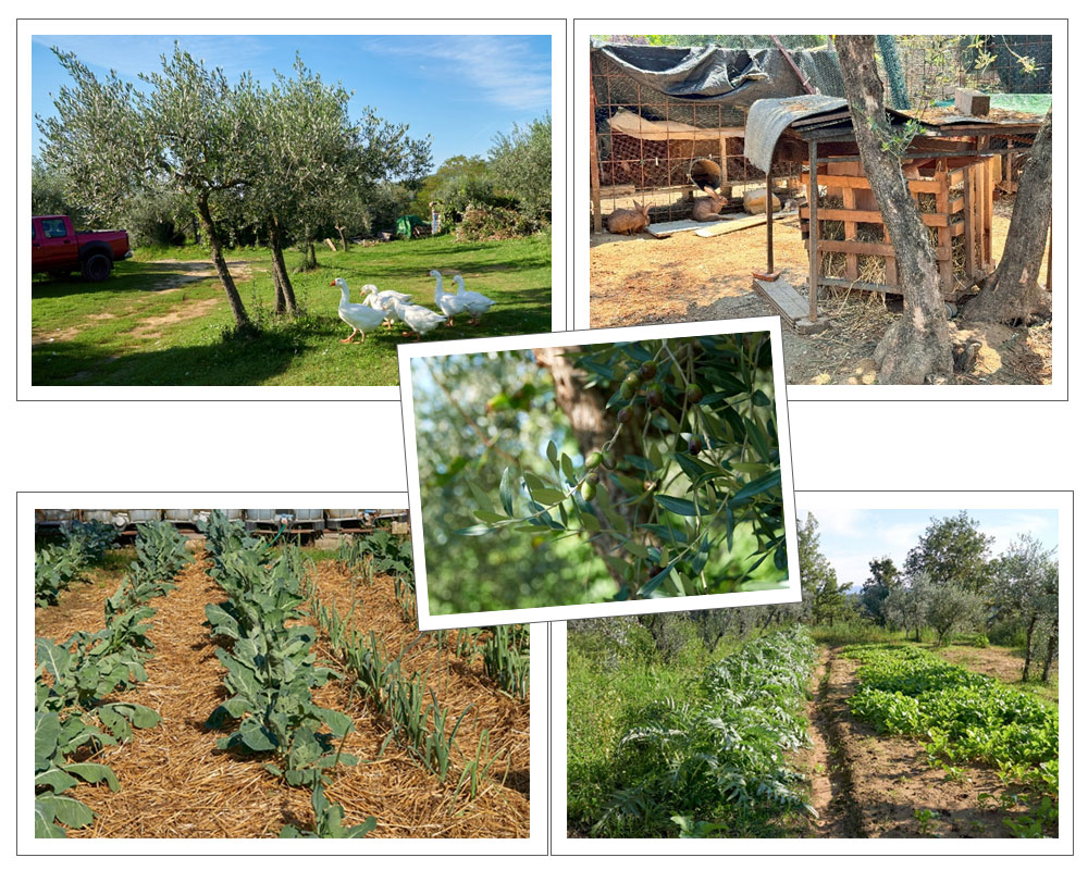 小さな村が旅先となる、トスカーナの休日　アルベルゴ・ディフーゾの旅