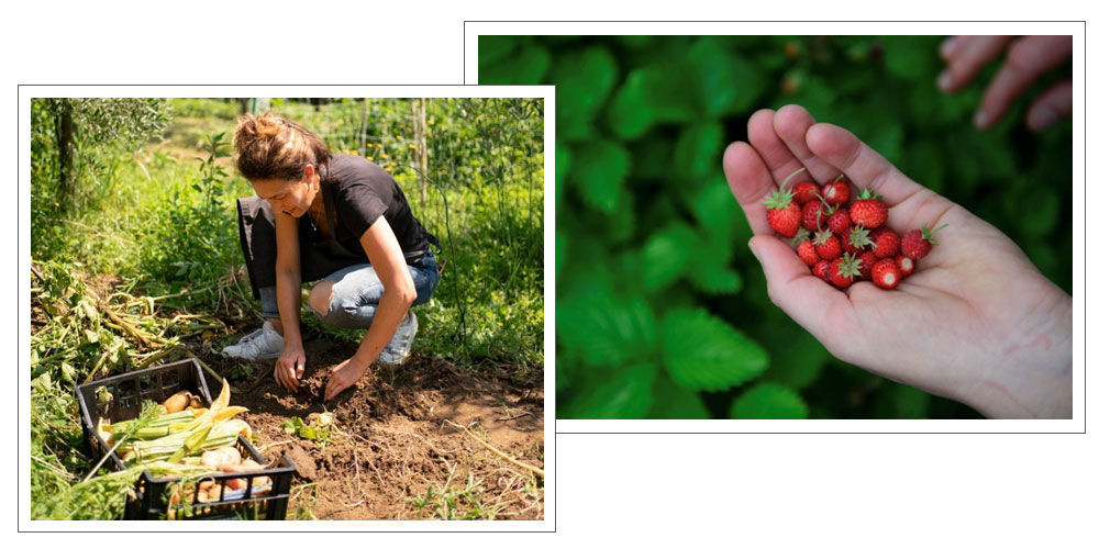 小さな村が旅先となる、トスカーナの休日　アルベルゴ・ディフーゾの旅