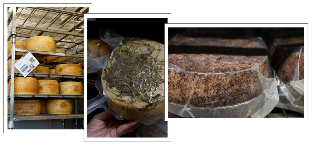 ヴェローナ発チロルのチーズ＆高品種ワイナリー＆断崖絶壁　マドンナ　デッラ　コロナ教会